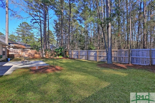 view of yard with a patio and a fenced backyard