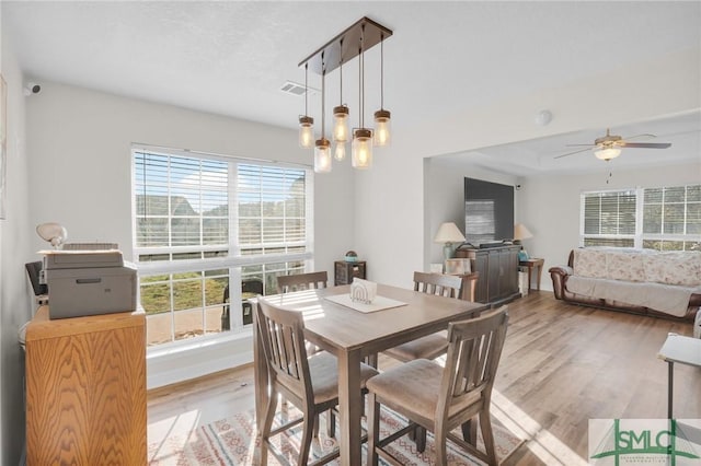 dining area featuring a tray ceiling, light wood-style flooring, visible vents, and ceiling fan