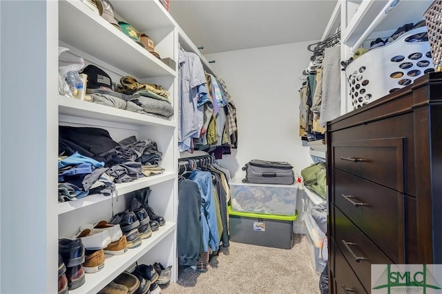 walk in closet featuring carpet flooring