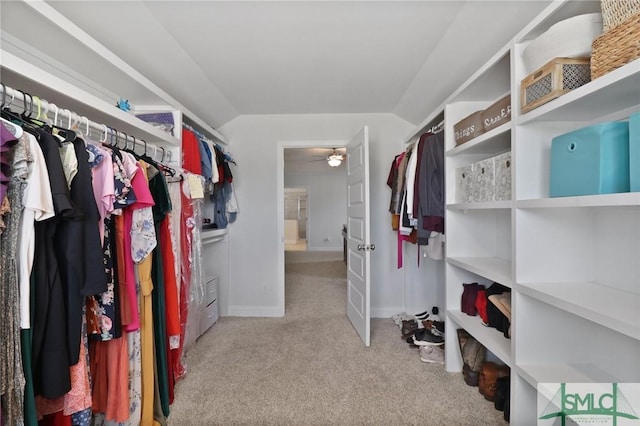 walk in closet with ceiling fan, carpet, and lofted ceiling