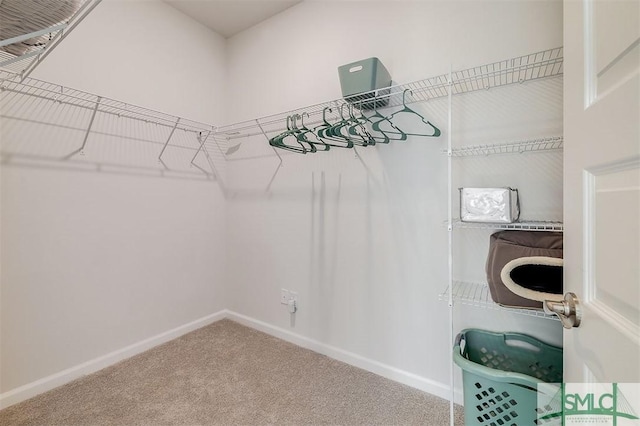 walk in closet with carpet floors