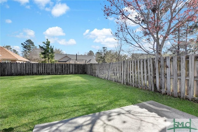 view of yard with a patio area and a fenced backyard