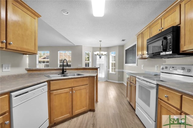 kitchen with a sink, white appliances, light wood-style floors, and a healthy amount of sunlight