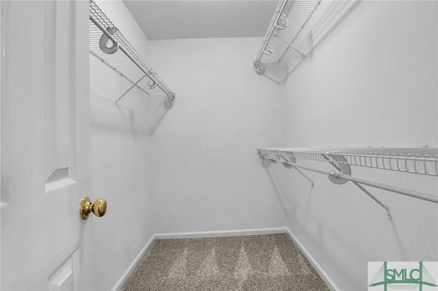 spacious closet featuring carpet floors