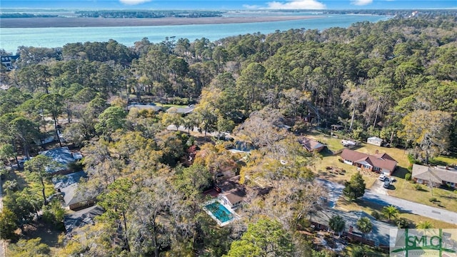 105 Carlton Rd, Savannah, GA 31410 - aerial view of property's location with a forest and a large body of water