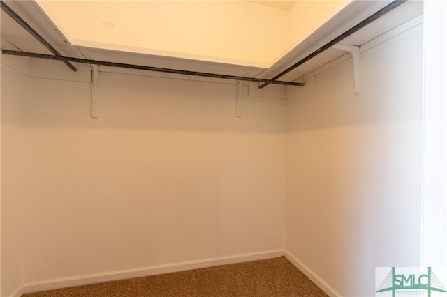 spacious closet with carpet flooring