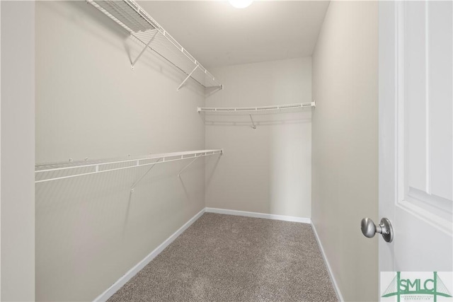 spacious closet with carpet flooring