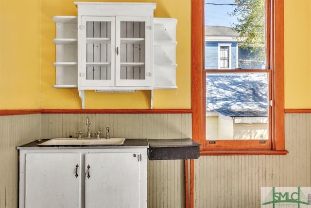 details featuring a sink and wainscoting