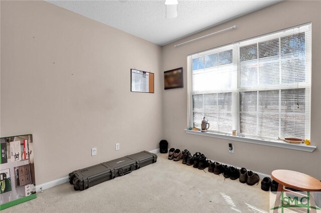 workout room with baseboards, a textured ceiling, ceiling fan, and carpet flooring