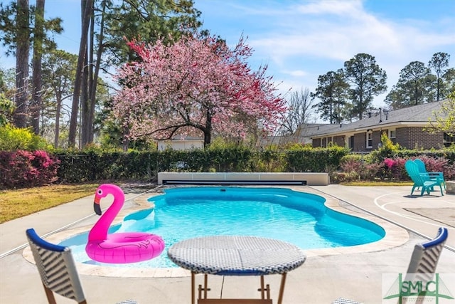 view of swimming pool with a patio area and a fenced in pool