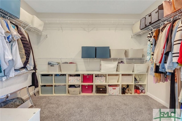 spacious closet with carpet