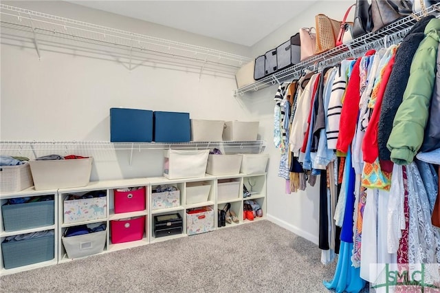 spacious closet featuring carpet flooring