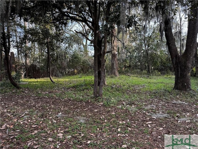 view of local wilderness with a view of trees