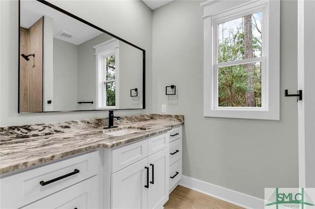 bathroom with vanity, plenty of natural light, visible vents, and baseboards