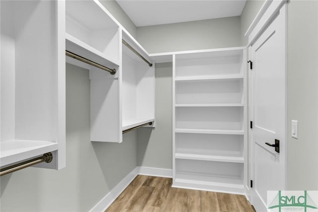 spacious closet featuring wood finished floors