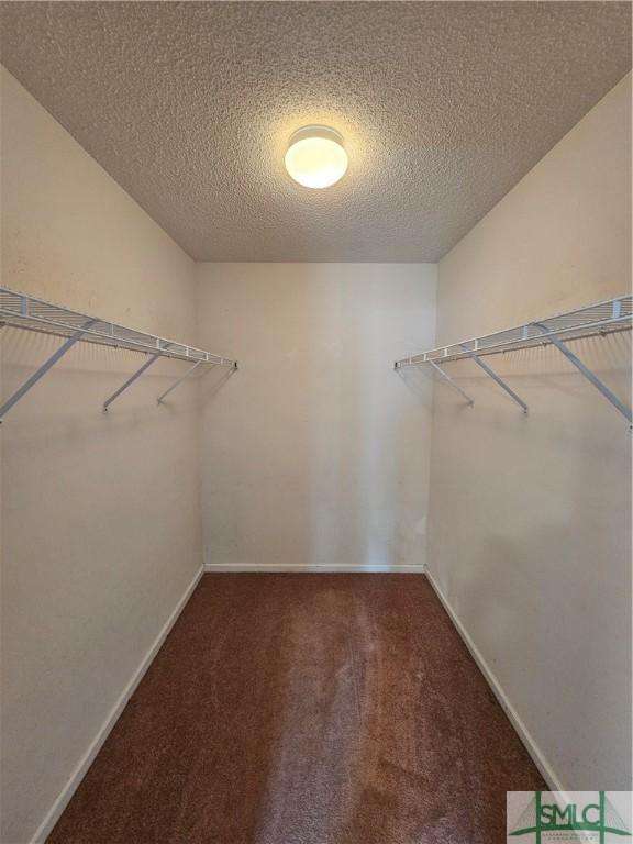spacious closet with carpet