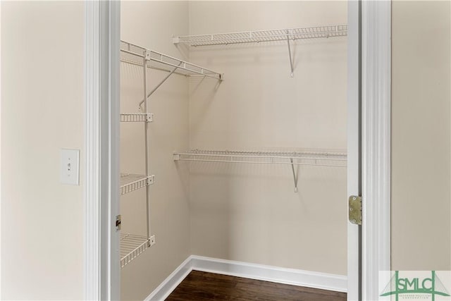 walk in closet with dark wood-style flooring