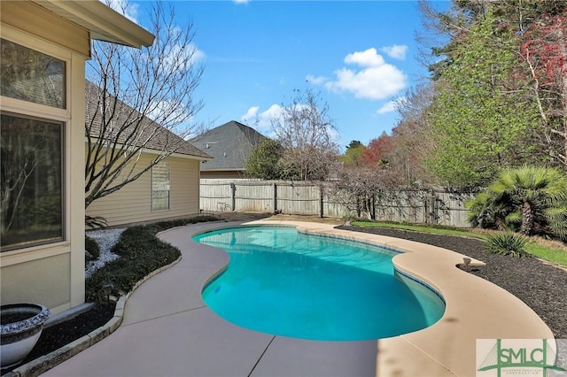 view of swimming pool with a fenced in pool and a fenced backyard