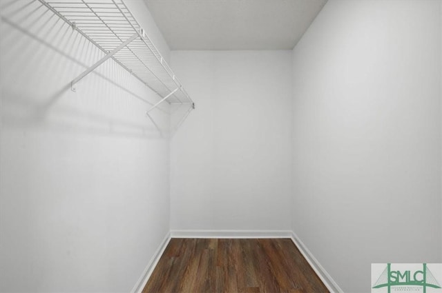 walk in closet with wood finished floors