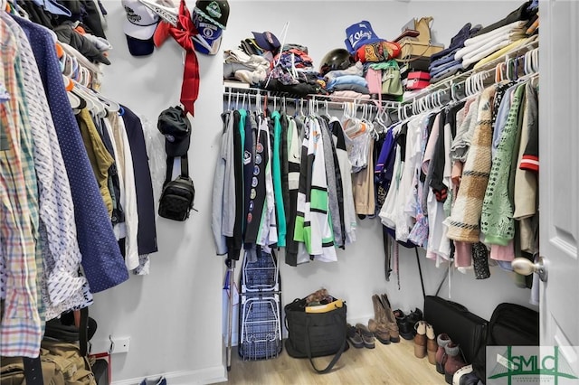 walk in closet featuring wood finished floors