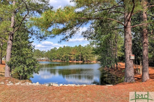 view of water feature