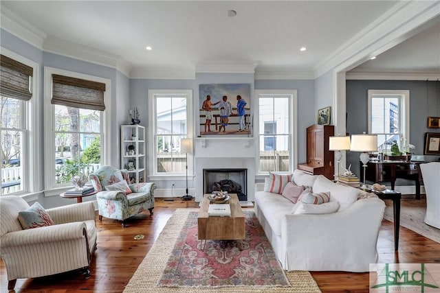 living room with a fireplace with raised hearth, a healthy amount of sunlight, and wood finished floors