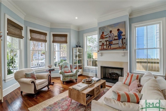 living room with hardwood / wood-style floors, crown molding, and a wealth of natural light