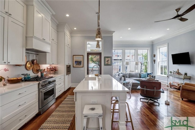 kitchen with a sink, open floor plan, stainless steel stove, and dark wood-style flooring