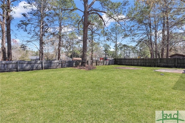 view of yard featuring a fenced backyard