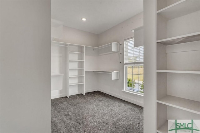 walk in closet featuring carpet