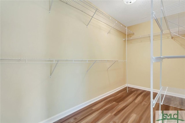 walk in closet featuring wood finished floors