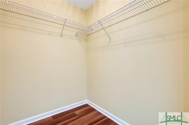 walk in closet featuring dark wood-style floors