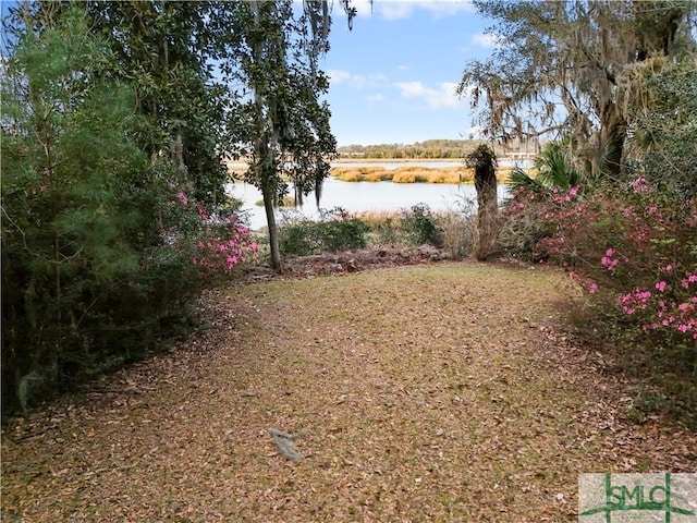 view of yard featuring a water view