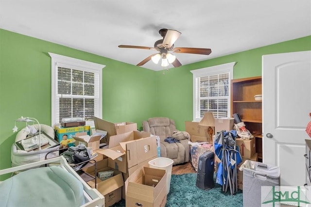 storage room featuring ceiling fan