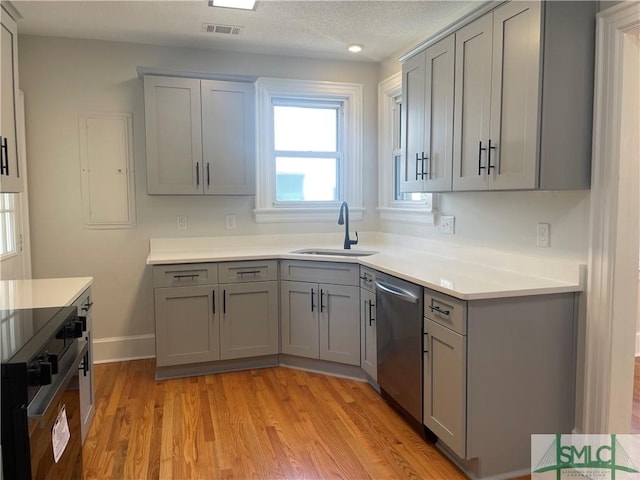 kitchen featuring visible vents, gray cabinetry, dishwasher, light wood-style flooring, and a sink