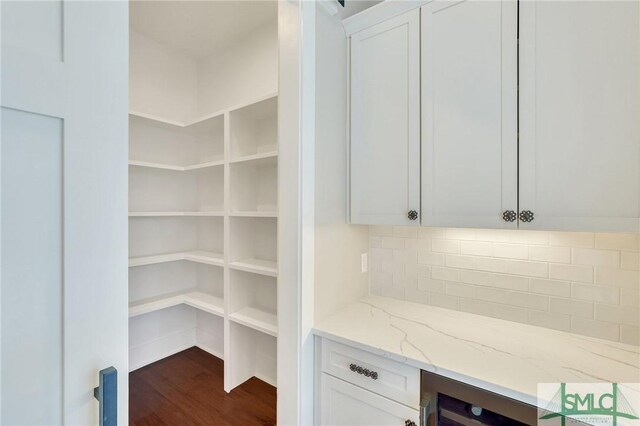126 Carapace Ct, Richmond Hill, GA 31324 - storage area with wine cooler