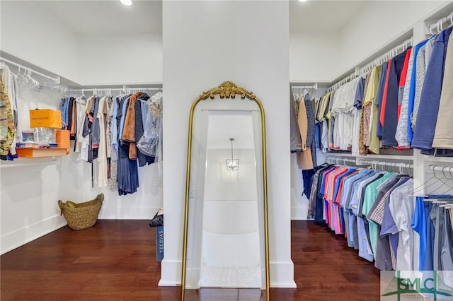 126 Carapace Ct, Richmond Hill, GA 31324 - walk in closet featuring wood finished floors