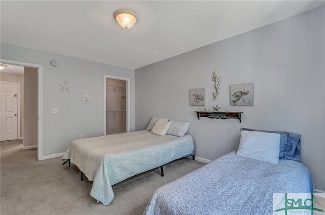 carpeted bedroom with baseboards and a spacious closet