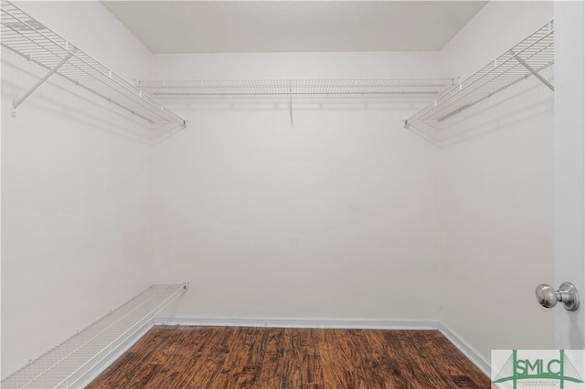 walk in closet featuring wood finished floors