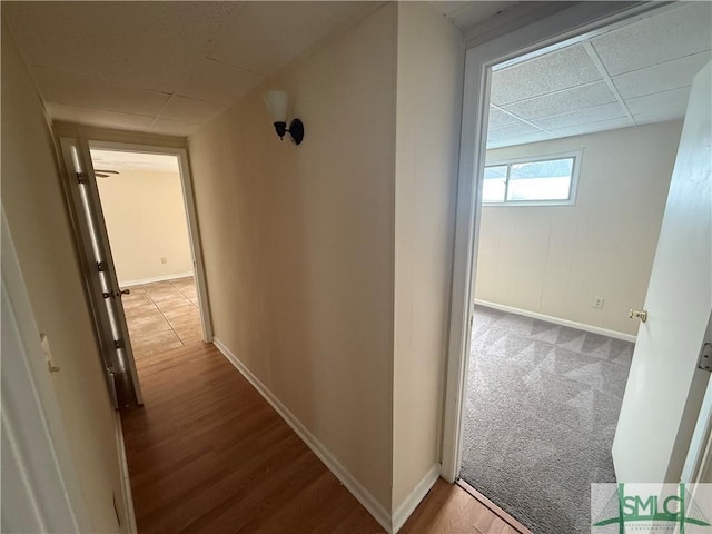 hall featuring wood finished floors, carpet flooring, a paneled ceiling, and baseboards