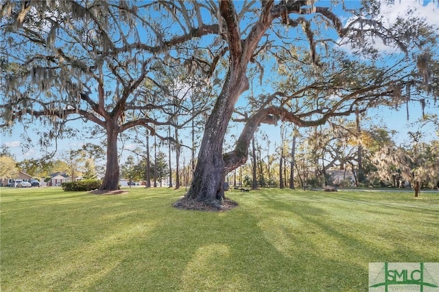 155 Burton Rd, Savannah, GA 31405 - view of grassy yard
