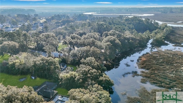birds eye view of property with a view of trees and a water view