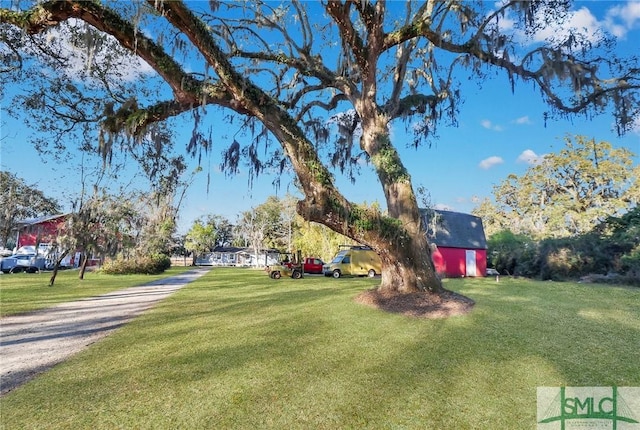 view of yard featuring an outdoor structure
