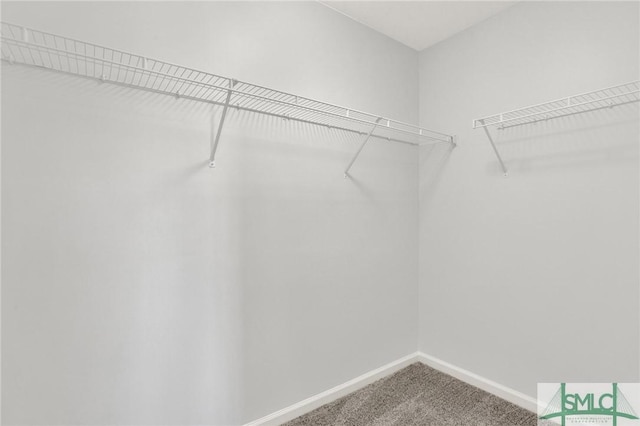 walk in closet with carpet floors