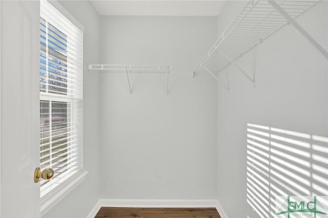 walk in closet with wood finished floors