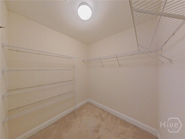 180 Kepler Loop, Richmond Hill, GA 31324 - spacious closet featuring light colored carpet
