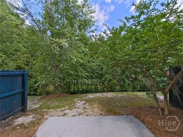 180 Kepler Loop, Richmond Hill, GA 31324 - view of yard