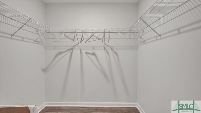 walk in closet with wood finished floors