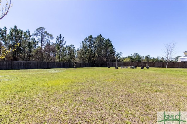 126 NE Owens St, Ludowici, GA 31316 - view of yard featuring fence