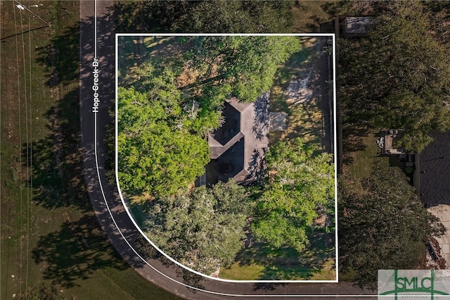 251 Hope Creek Dr, Richmond Hill, GA 31324 - photo 23